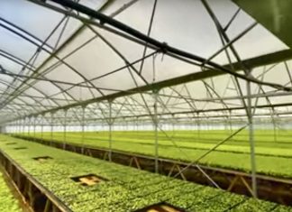 VIDEO: International Tobacco SRL: 20 de ani de dezvoltare continuă și planuri mari de viitor