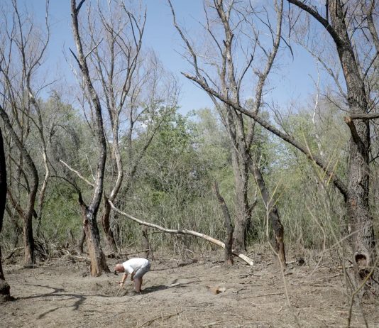 BREAKING NEWS | O dronă rusească a intrat în spațiul aerian al României și s-a prăbușit