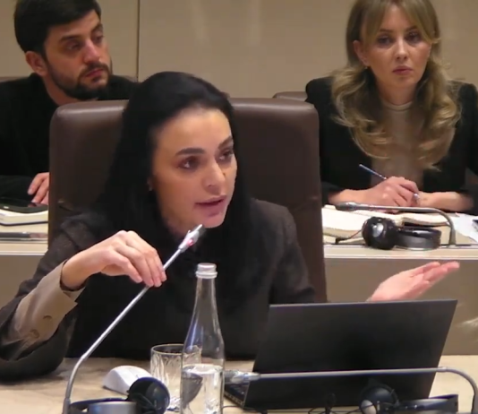 VIDEO | Deputata Partidului Nostru Elena Grițco cere majorarea salariilor pentru militari