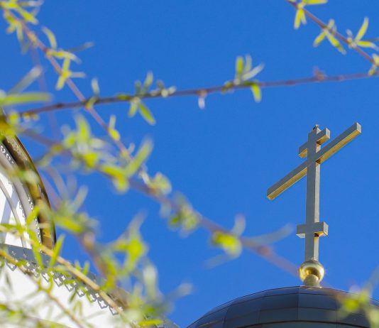 Astăzi ortodocșii celebrează duminică Floriile. Care sunt tradițiile sărbătorii și semnificația intrării lui Iisus în Ierusalim