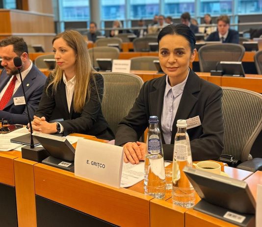 Deputata Partidului Nostru, Elena Grițco, de la Bruxelles: Reformele pentru integrarea europeană trebuie să producă rezultate reale pentru cetățeni