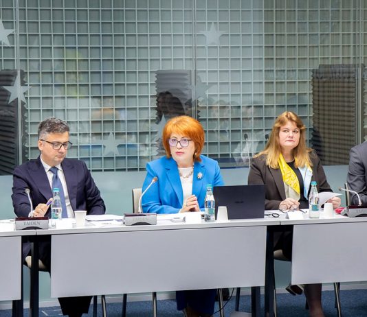 Judecătorul CEDO Sebastian Rădulețu, în vizită la Curtea Constituțională a Republicii Moldova