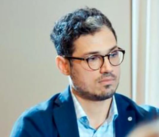Dionis Cenușă: Scandalul privind funcțiile publice este doar vârful aisbergului